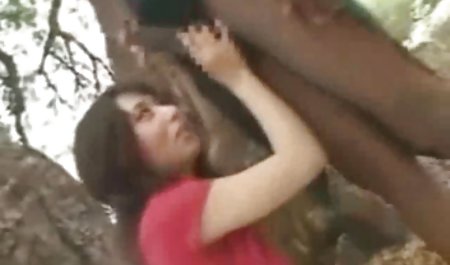 チュートリアル-フランスのドミナ仮想支配-Veneti-TA-culotte ギャル ナンパ 無 修正